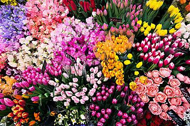 乙女游戏《even if TEMPEST 夜中倾诉的魔女 》将于6月9日发售